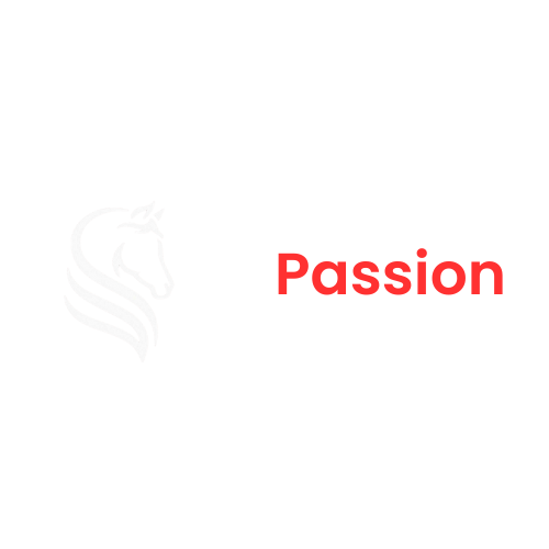 JDPassion logo